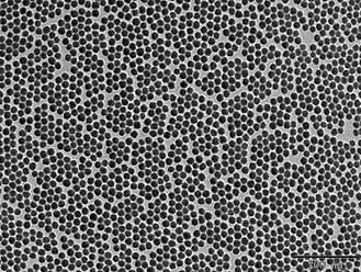 Miniatura 2 de Nanopartículas de sílice coloidal Alpha Nanotech (disponibles de 20 nm a 1000 nm) (20 nm, 10 mgml)