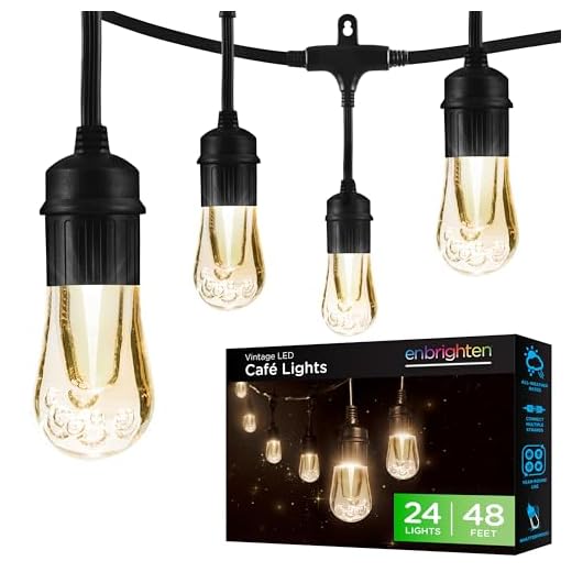 Enbrighten Premium Warm White String Lights, 48ft Black Cord, 24 Shatterproof Acryllic Bulbs, Weatherproof, Outdoor String Lights, 35631