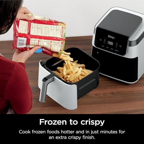 Ninja Air Fryer Pro XL overview