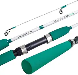 Vara de Pesca Jaú Pesca Callisto Spin, Fibra de Vidro, 2 Partes, 10-20 lbs, Molinete