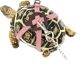 Amazon.com : Adjustable Harness & Leash Set Strap for Turtles Small Pet ...