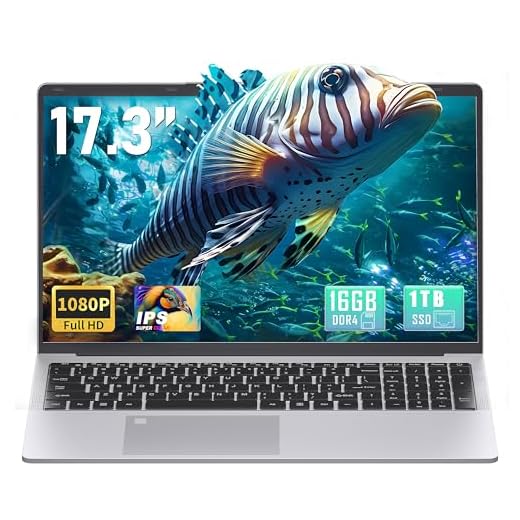 Business 17,3&Quot; — Celeron N5095, 16Gb