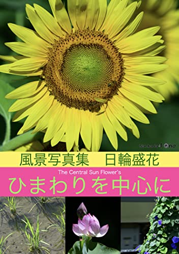 ひまわりを中心に: 日輪盛花〜風景写真集