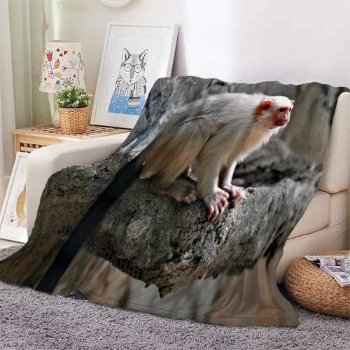Plaid singe blanc couverture douillette pour soirées cocooning au salon