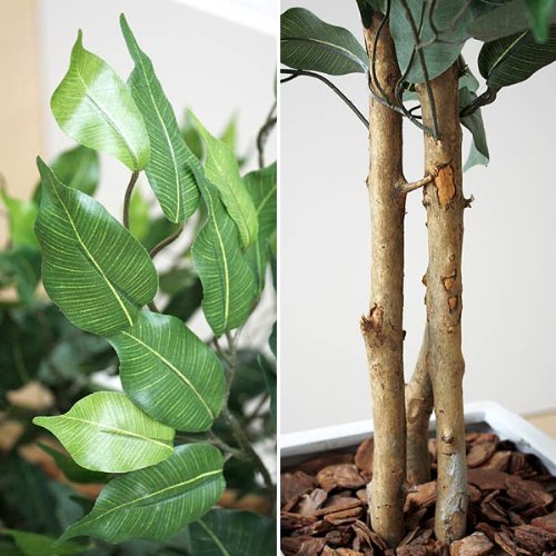 Amazon｜人工観葉植物 ベンジャミン ロングスクエア陶器鉢 フェイク