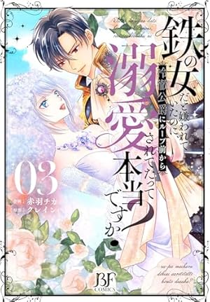 Amazon.co.jp: 身代わりで嫁いだ冷酷国王は初恋相手でした(1