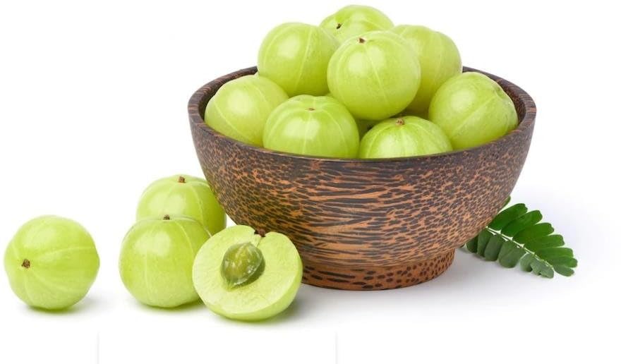 Image of Golden Bloom Thai Grafted Green Amla Fruit Plant And Tree Pack Of 1 Plant Height 1 FT