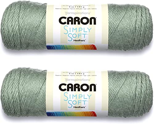 まとめ買い:Caron Simply Soft Yarn Solid (2パック) (ウッドランド)