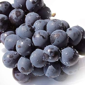 Amazon.co.jp: 種無し巨峰 箱込1キロ前後 2～3房入り ぶどう