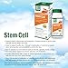 Bell Stem Cell Supplements - Supports Your Body's Natural Ability to Replace Worn Out Cells and Rejuvenate Tissue | Celulas Madres | 60 Capsules