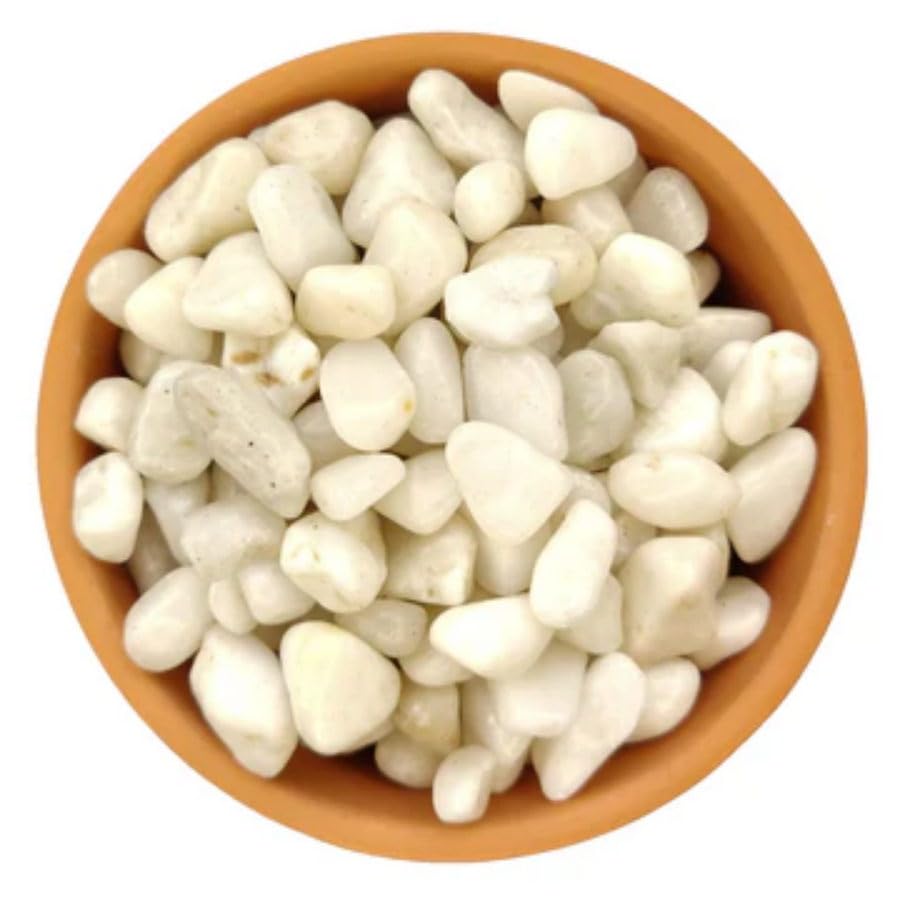 Hug A Plant | White Colour 2KG Pebble Stones for Home Decorative|Vase Fillers| Aquarium Fish Tank |Lawn|Multi-Purpose - Image 2 thumbnail