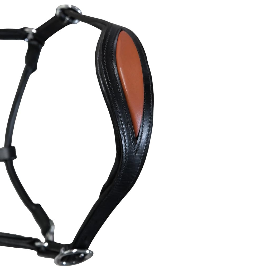 Brama West Pferderhalfter Leder Halfter Atlanta anatomisch 2-Fach verstellbar, Gr. Full
