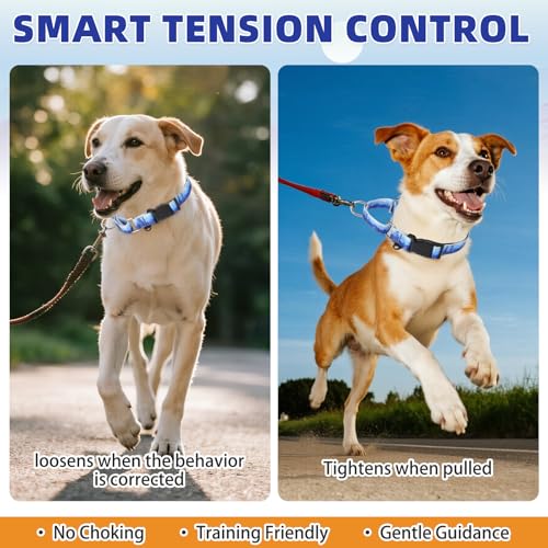Image of Martingale Collar for Dogs for Small Medium Large Dogs, Soft Padded Nylon No Pull Dog Collar with Buckle, Adjustable No Slip Heavy Duty Durable Puppy Training Collar for Boys Girls, Blue S