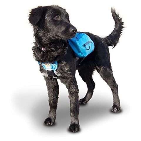 Kurgo Baxter Sac à Dos pour Chien Cover