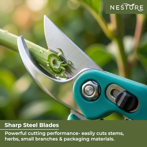 Image of Plant Cutter for Garden Heavy Duty | Garden Scissors & Pruners for Plants | Branch Cutter for Home Gardening (Green)