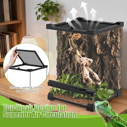 Image of 8 inch x 8 inch x 12 inch Mini Vertical Glass Reptile Terrarium | Front Opening & Fully Assembled Enclosure Tank for Crested Geckos, Tree Frogs, Tarantulas, Jumping Spiders & Tiny Reptiles