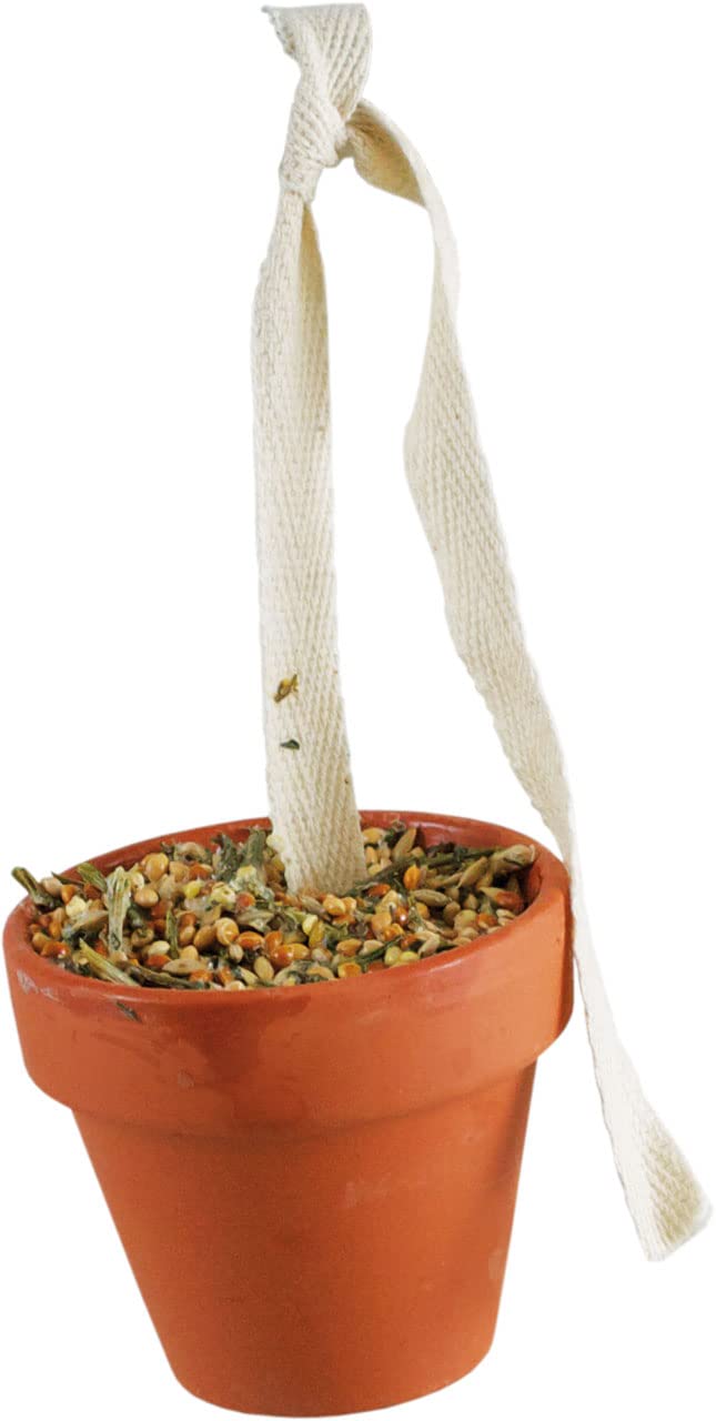 JR FARM Birds Clay Pot Budgies & Canaries 80 g