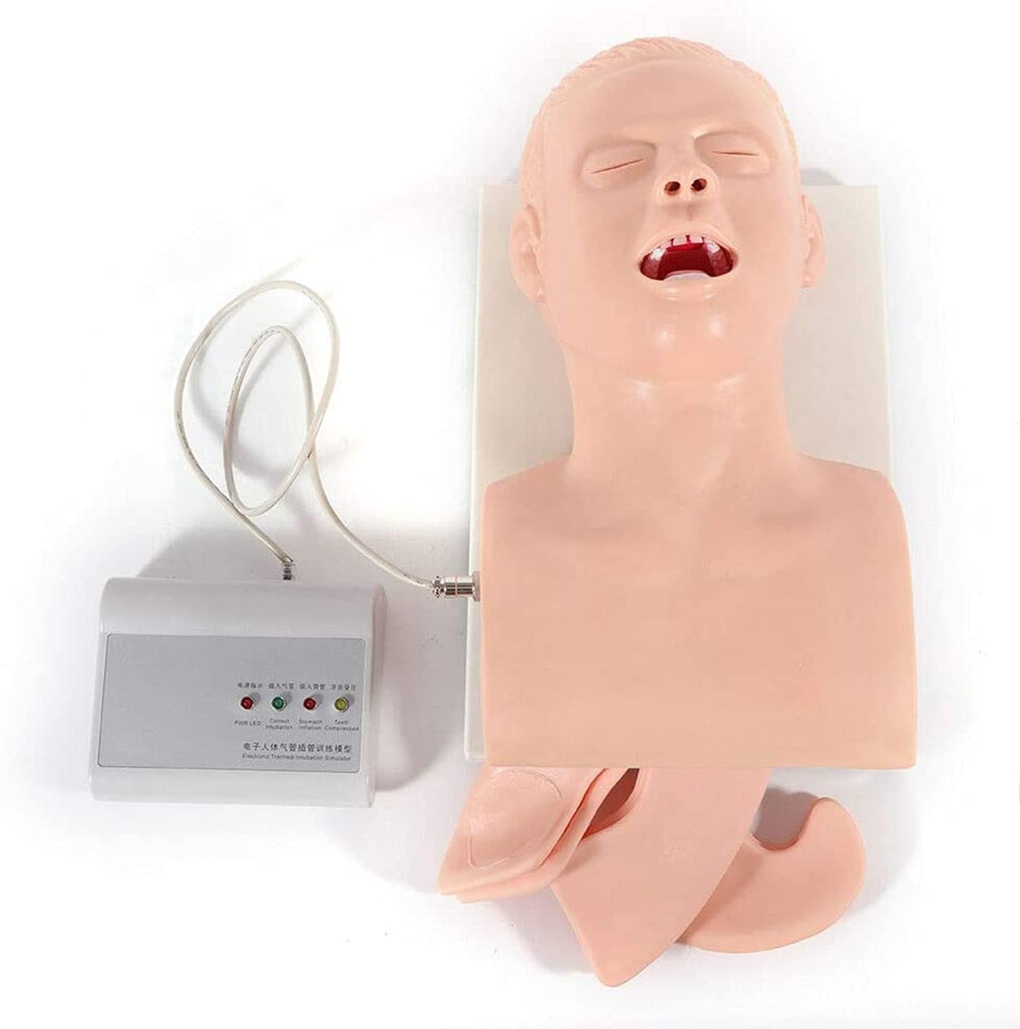 PuPuGou PVC Advanced Adult Intubation Training Simulator Electronic Airway Management Trainer Intubation Manikin for Science Lab Education Adult with Alarm