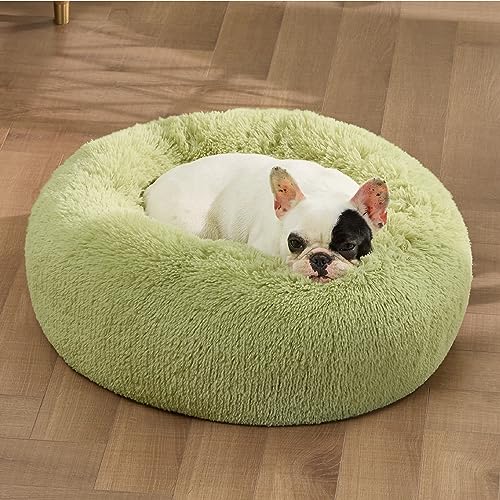 Image of Bedsure Calming Small Dog Bed Donut Washable Cat&Puppy Bed,23 inches Green | Fluffy Faux Fur Round Cuddler,Machine Washable,Anti-Slip Bottom,Anti-Anxiety,Deep Sleeping for Large Cat & Pets Up to 25 Lbs