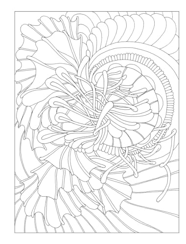 Creative Haven Serenity Coloring Book; Your Path to Stress Relief, Relaxation, Zen and Mindfulness (Adult Coloring Books: Calm) - Image 4