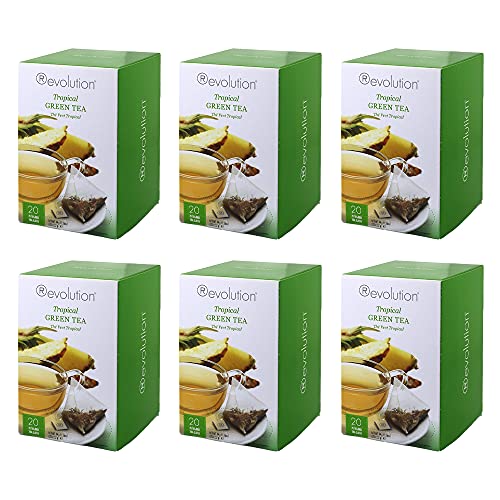 Revolution Tea - Mesh Infuser Full Leaf Tea - Tropical Green Tea - 20 Bags - 6 Pack #TOP6