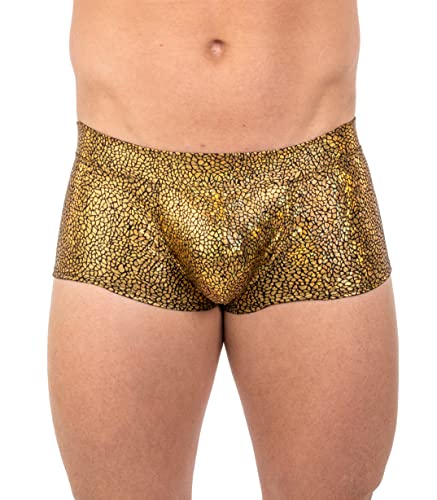 Gary Majdell Sport Mens New Printed Hot Body Boxer Swimsuit2