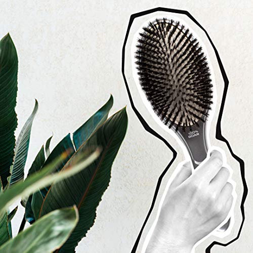 Olivia Garden Ceramic + Ion Supreme Paddle Hair Brush, 100% Boar (CISP-BR)