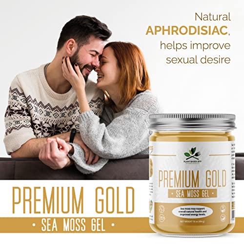Plant Based Jeff Organic Sea Moss Gel Supplement, 16 Oz, Natural Wildcrafted Superfood, Immune Defense And Digestive Support, Non-Gmo, Vegan And Keto #TOP4