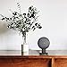 SPORTLINK Pedestal for Nest Mini (2nd Gen) and Google Home Mini (1st Generation) Improves Sound Visibility and Appearance - A Must Have Mount Holder Stand for Nest Mini (2nd Gen)/ Google Mini (Black)