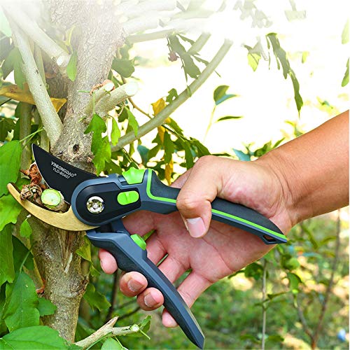How to clean secateurs How to clean secateurs