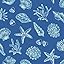 Sea Shell