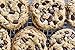 Krusteaz Bakery Style Cookie Mix, Triple Chocolate Chunk 15.5 Ounce (Pack of 4)