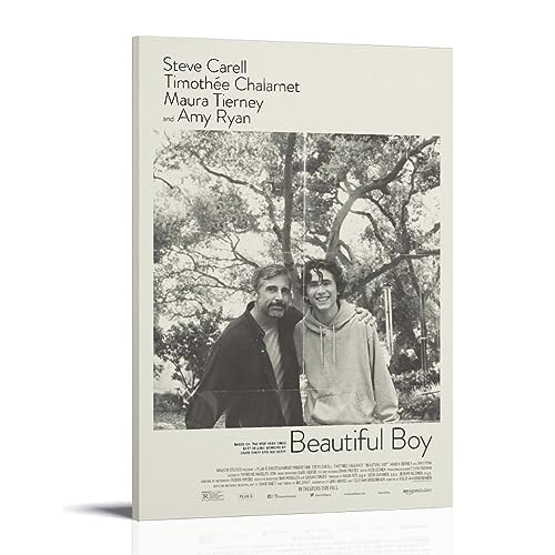 Beautiful Boy Affiche Murale Toile 16x24 po (40x60 cm)