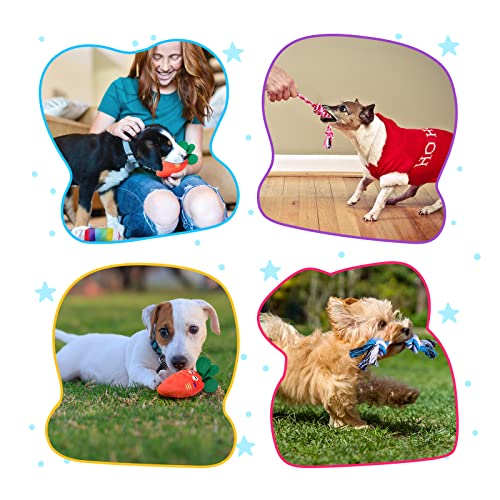 LOYEE 14 Pack Puppy Toys, Squeaky Plush Dog Toys for Small Dogs, Cute Puppy Teething Chew Toy, Indestructible Ropes Toys… - Image 7