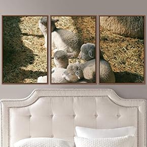 signwin 3 Piece Framed Canvas Wall Art Fun...