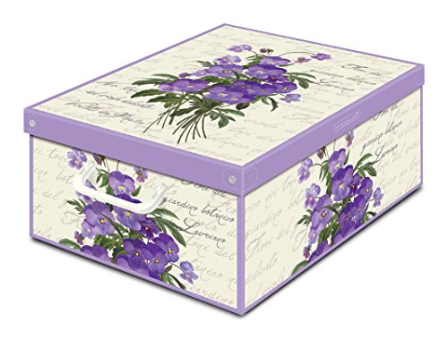 Lavatelli(@eb) yKAizC^A X^bLO Rei[ [BOX pW[L LVTBXVIL