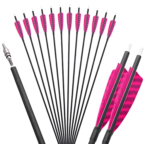AMEYXGS 12pcs Carbonpfeile, 32 Zoll Bogen Pfeile Jagd Pfeile, Pfeile für bogenschießen mit 4\" gestreifte Federn natürlich für Bogen Recurvebogen Compound Bogen Traditionelle (Pink) AMEYXGS 12pcs Carbonpfeile, 32 Zoll Bogen Pfeile Jagd Pfeile, Pfeile für bogenschießen mit 4\" gestreifte Federn natürlich für Bogen Recurvebogen Compound Bogen Traditionelle (Pink)