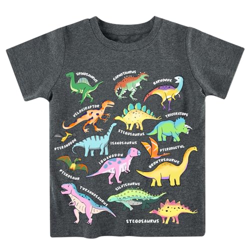 Lovekider Dinosaurs Boys 4T T-Shirt Summer Cotton Tee Dark Gray Short Sleeve Dino Party Top Outfit Size 4