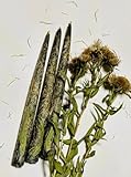 Juego de tres velas de cera de abeja azul con hierba de enula campana seca