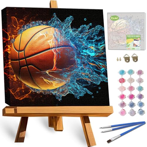 TOCARE Framed Paint by Numbers Kit Beginners & Kids Ages