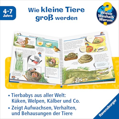 Wieso? Weshalb? Warum?, Band 33 - Tiere und ihre Kinder (Sachbuch ab 4 Jahre - mit Klappen)