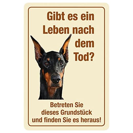 empireposter Hunde - Gibt es ein Leben nach dem Tod ? - Blechschild - 20x30 cm