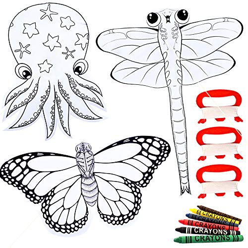 HENGDA KITE for Kids Kite Making Kit Bulk, Decorating Coloring Kite Party Pack DIY Blank Animal Painting Kite-Single Line-Includes 6 Colors Crayons, Handles with Flying Lines (3 Pcs)