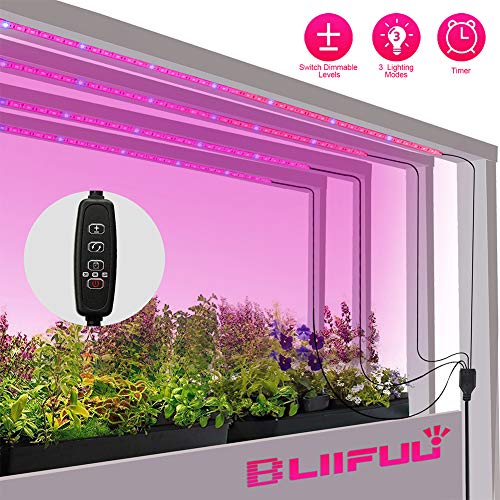 Best Happy Light For Plants