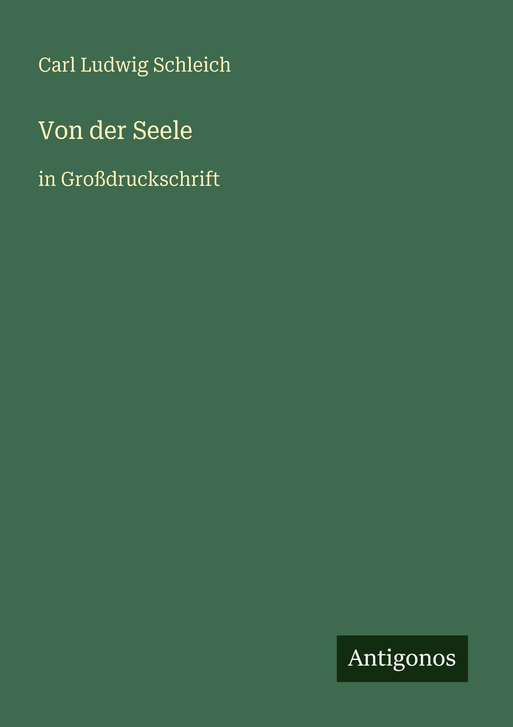 Von der Seele: in Großdruckschrift