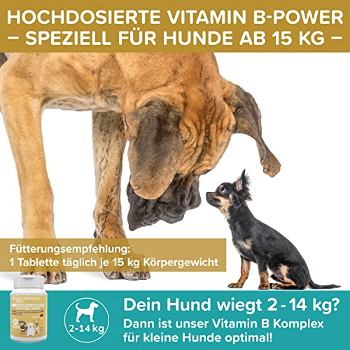 NATUREFLOW Vitamin B Komplex Hund Made in Germany Hochdosierte B