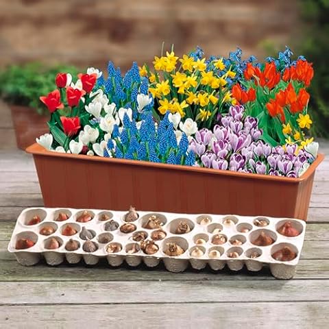 YouGarden Easy Garden Bulb Planting Set with Mixed Bulbs Cover
