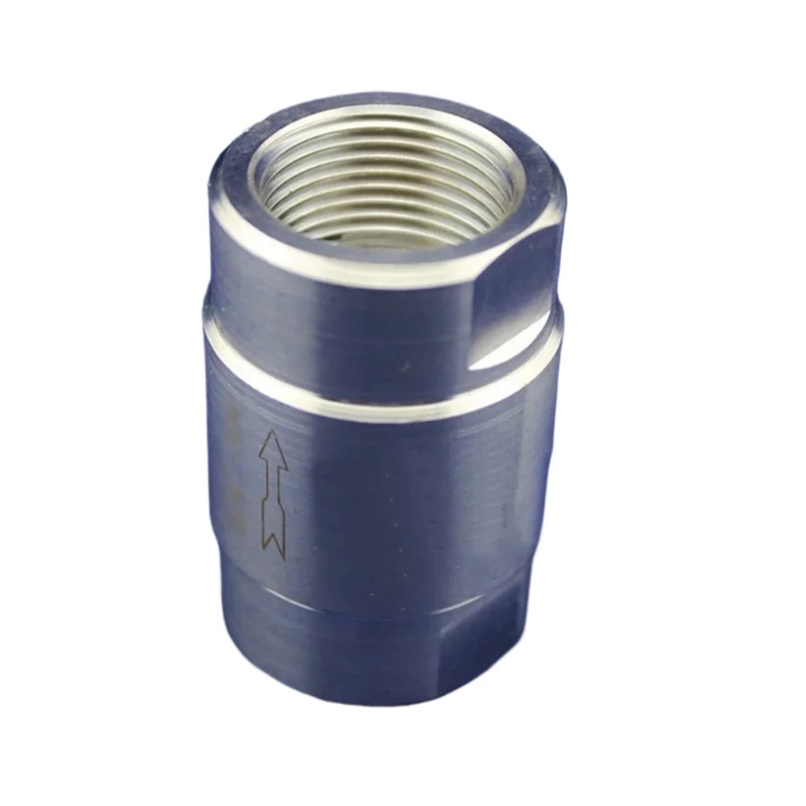 Valvola a molla in linea inossidabile 304 da 1/8 "a 1" Valvola a 1 via di non ritorno (1/8")