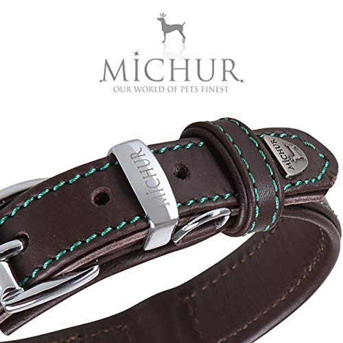 MICHUR Classica Collare per Cani in Pelle Marrone