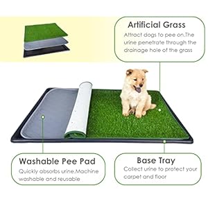 Dog Artificial Grass Pad with Tray for Puppy Potty Training Fake Turf Patch  Washable Pee Pad Pet Loo for Small and Medium Dogs Indoor or Outdoor Use potty System 354 X 236  Cucciolini Doodles Dog artificial grass pad with tray for puppy potty training fake turf patch  washable pee pad pet loo for small and medium dogs indoor or outdoor use potty system 35 4 x 23 6   cucciolini doodles